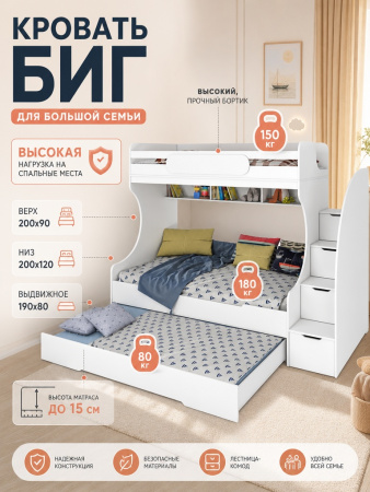 Кровать БИГ (дуб каньон + белый) 200х120 от Династия Kids